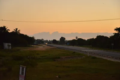 DSC_4196 (Large).JPG